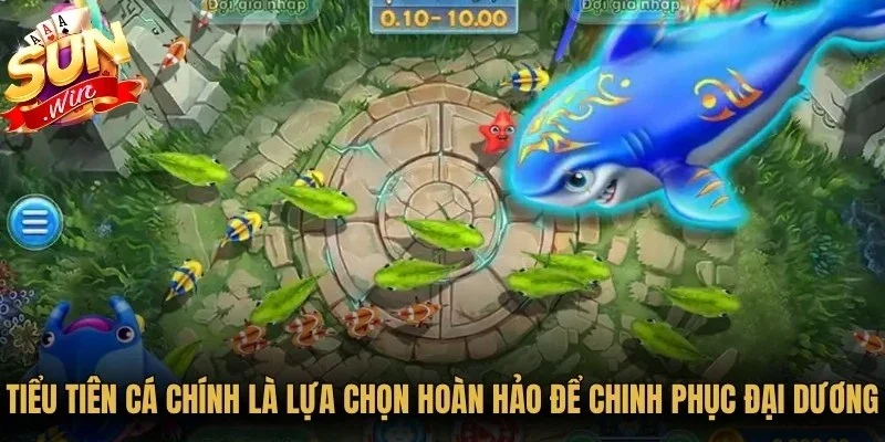 Tiểu Tiên Cá chính là lựa chọn hoàn hảo để chinh phục đại dương